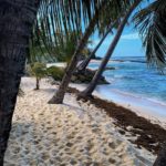 Beautiful Reasons Why You Should Choose Barbados