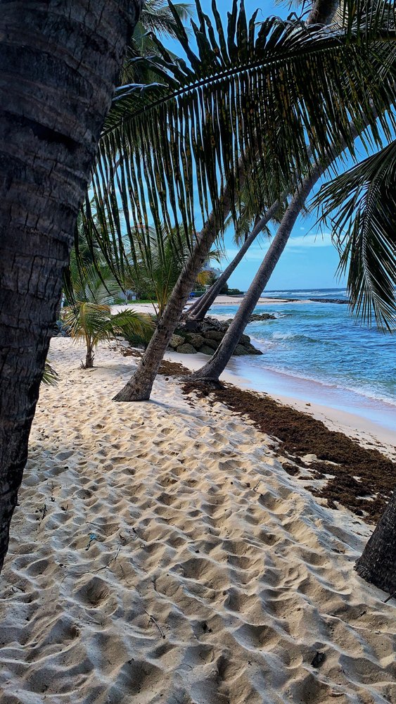 Beautiful Reasons Why You Should Choose Barbados