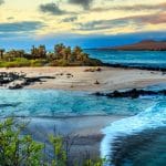 Tourico Vacations Reviews the Galapagos Islands