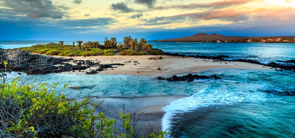 Tourico Vacations Reviews the Galapagos Islands